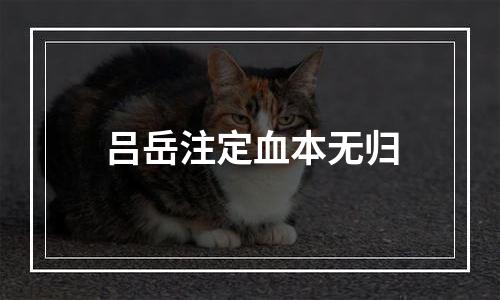 吕岳注定血本无归