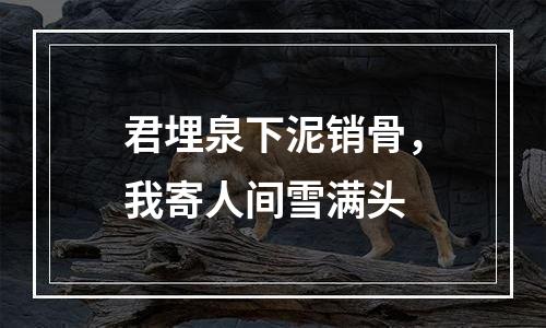 君埋泉下泥销骨，我寄人间雪满头