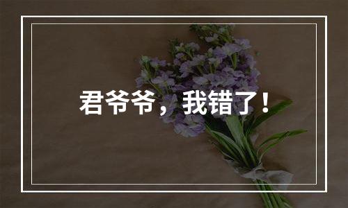 君爷爷，我错了！