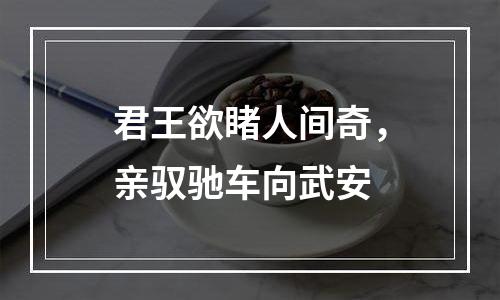 君王欲睹人间奇，亲驭驰车向武安