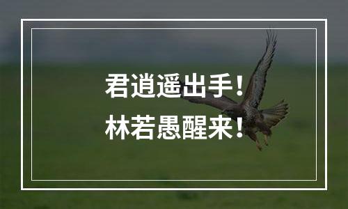 君逍遥出手！林若愚醒来！