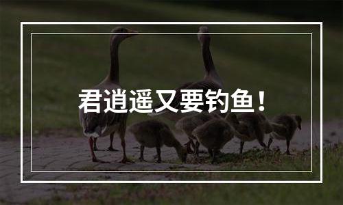 君逍遥又要钓鱼！