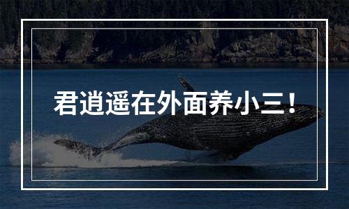 君逍遥在外面养小三！