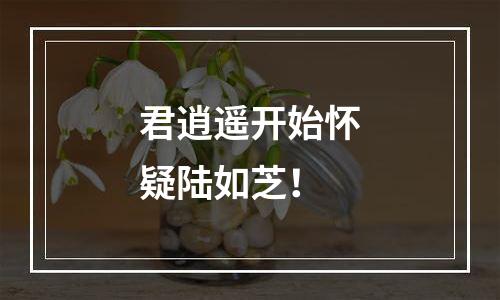 君逍遥开始怀疑陆如芝！
