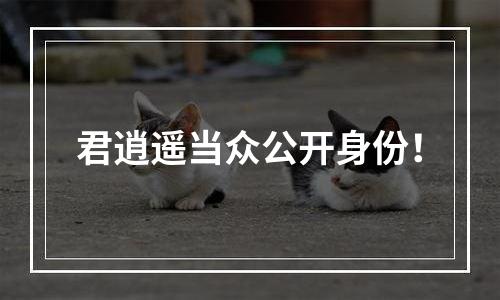 君逍遥当众公开身份！