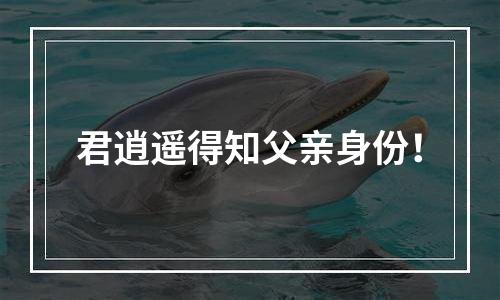 君逍遥得知父亲身份！