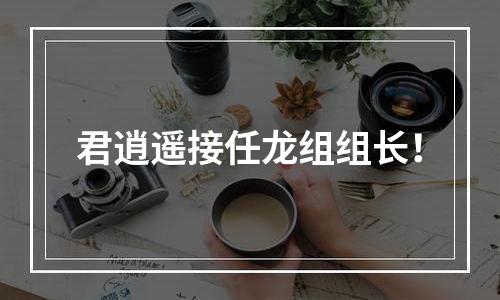 君逍遥接任龙组组长！