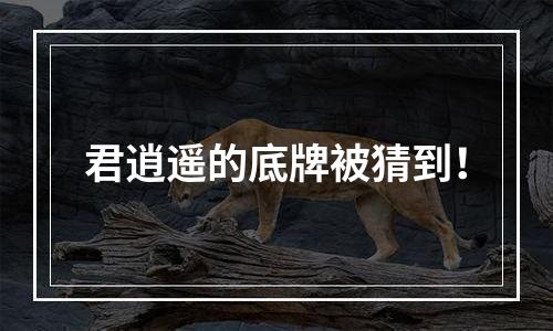 君逍遥的底牌被猜到！