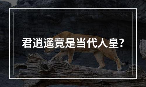 君逍遥竟是当代人皇？