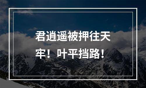 君逍遥被押往天牢！叶平挡路！
