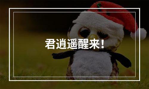 君逍遥醒来！