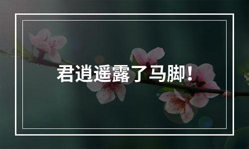 君逍遥露了马脚！