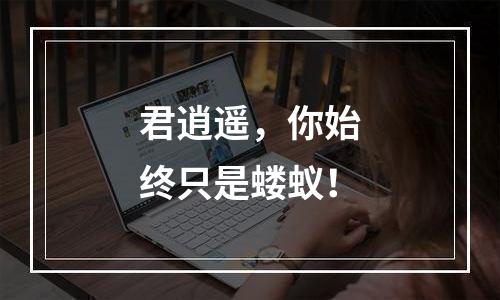 君逍遥，你始终只是蝼蚁！