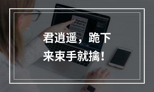 君逍遥，跪下来束手就擒！