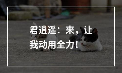 君逍遥：来，让我动用全力！