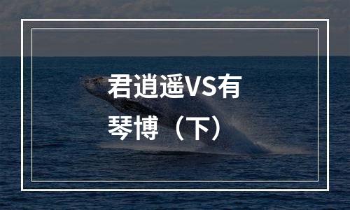 君逍遥VS有琴博（下）