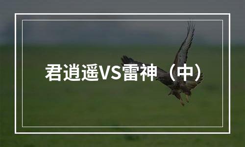 君逍遥VS雷神（中）