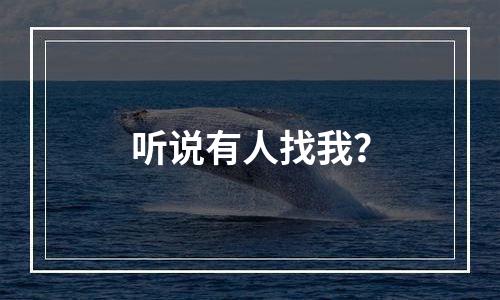 听说有人找我？