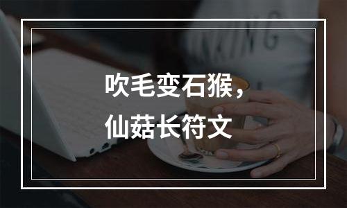 吹毛变石猴，仙菇长符文