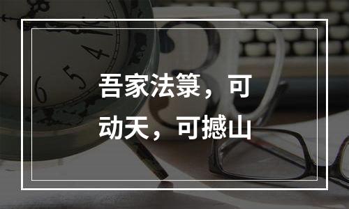 吾家法箓，可动天，可撼山