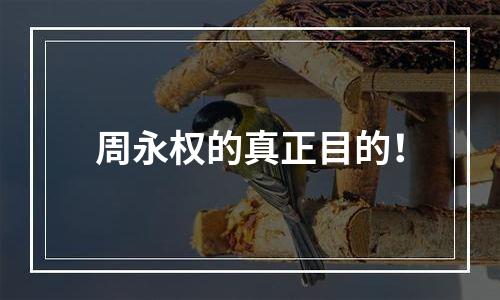 周永权的真正目的！