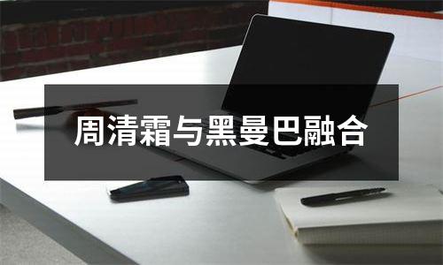 周清霜与黑曼巴融合