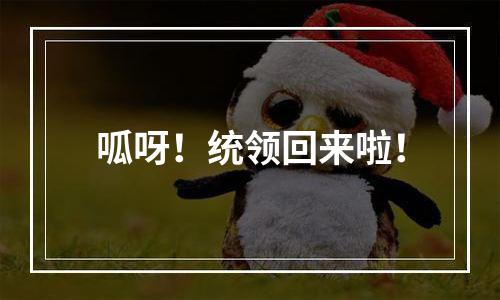 呱呀！统领回来啦！