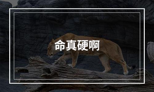 命真硬啊