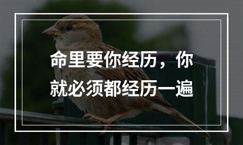 命里要你经历，你就必须都经历一遍