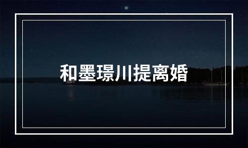 和墨璟川提离婚