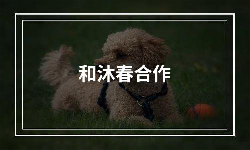 和沐春合作