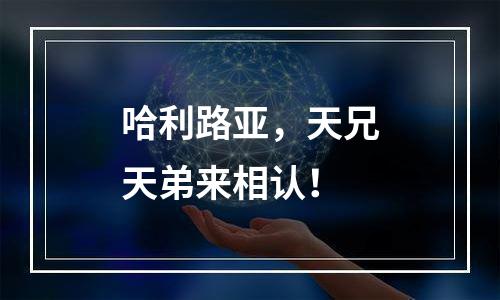 哈利路亚，天兄天弟来相认！
