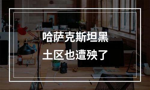 哈萨克斯坦黑土区也遭殃了