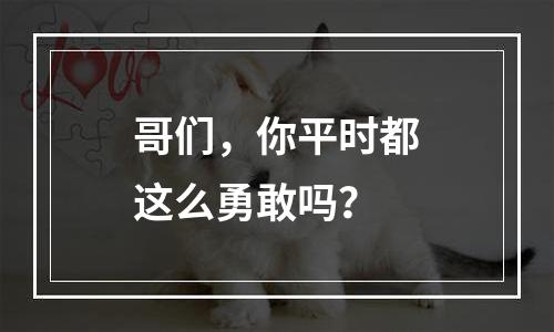 哥们，你平时都这么勇敢吗？