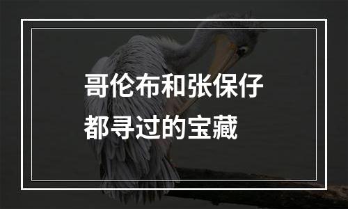 哥伦布和张保仔都寻过的宝藏