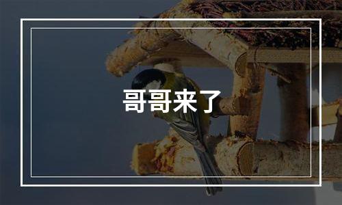 哥哥来了