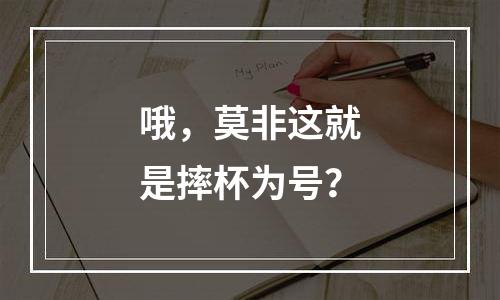 哦，莫非这就是摔杯为号？