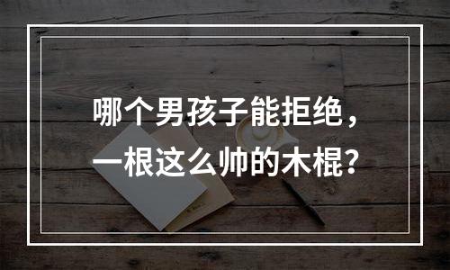 哪个男孩子能拒绝，一根这么帅的木棍？