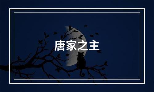唐家之主
