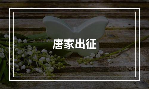 唐家出征