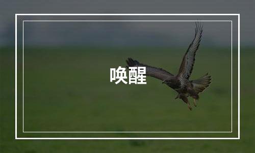 唤醒