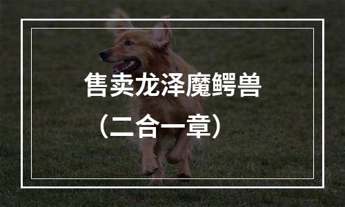 售卖龙泽魔鳄兽（二合一章）