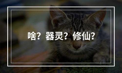 啥？器灵？修仙？