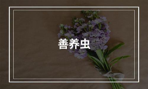 善养虫
