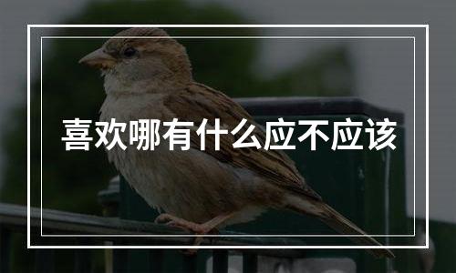 喜欢哪有什么应不应该