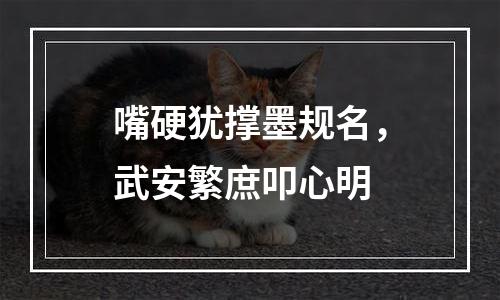 嘴硬犹撑墨规名，武安繁庶叩心明