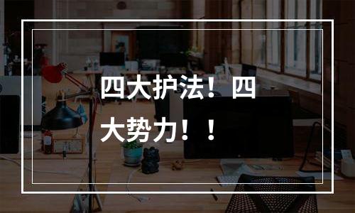 四大护法！四大势力！！