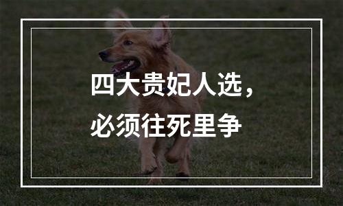 四大贵妃人选，必须往死里争