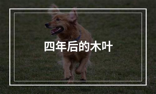 四年后的木叶