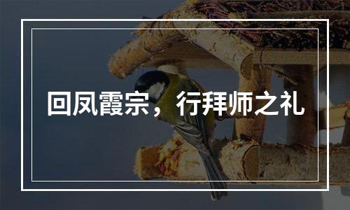 回凤霞宗，行拜师之礼